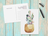 Potted Succulents Note Cards Set of 6 Postcards Postcard Set Paintings Cards Watercolors Succulent Thank You Card Moving Announcement Cards