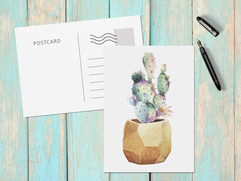 succulent postcards Potted Succulents Note Cards Set of 6 Postcards Postcard Set Paintings – supperbtattoo