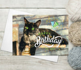 Black White Cat Funny Greeting Cards with Envelopes Surprised Cat Card Cat Lover Painting Greeting Cards Thank You Cards Cat Birthday Card
